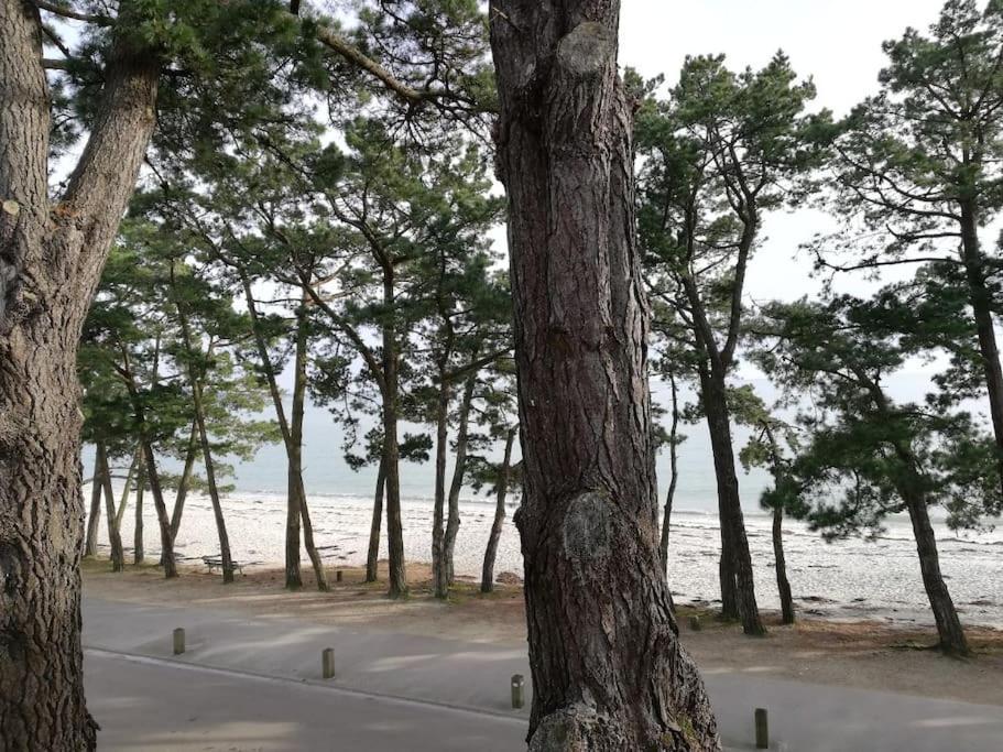 Face A La Mer Fouesnant Exterior foto